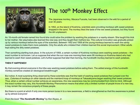 monkey time|time monkey effect.